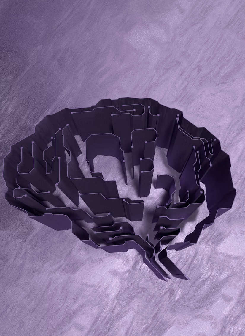 Why Gamblers Chase Losses — The Neuroscience of a Decision That Makes No Sense